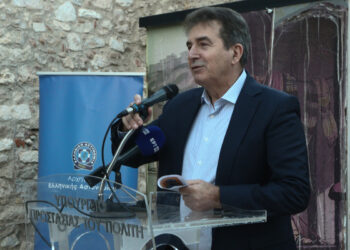 Χρυσοχοΐδης: Ενισχύουμε με πρωτοβουλίες και δράσεις το πλέγμα προστασίας των παιδιών μας