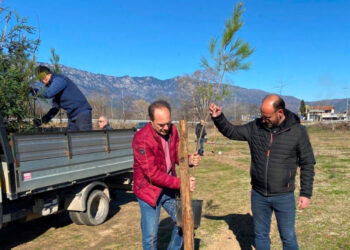 “Πρασινίζει” ξανά το δάσος στο Διαλεχτό ο Δήμος Τρικκαίων
