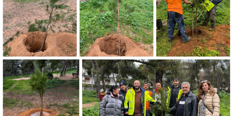 Δήμος Λυκόβρυσης-Πεύκης: Φυτεύτηκαν 20 νέα δέντρα και εγκαταστάθηκε βρύση για άρδευση στο Δάσος Μορέλλα