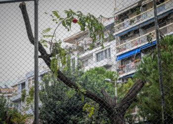 66χρονη ζούσε για 3 εβδομάδες με τη σορό της μητέρας της και δεκάδες γάτες