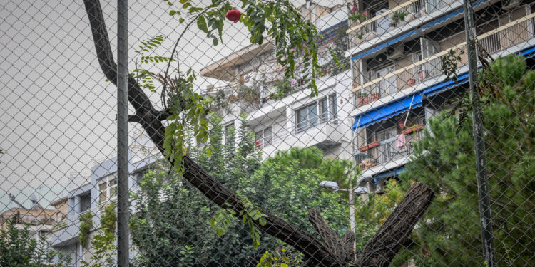 66χρονη ζούσε για 3 εβδομάδες με τη σορό της μητέρας της και δεκάδες γάτες