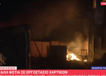 Στάχτη εργοστάσιο χαρτικών – Μήνυμα 112 τη Ριτσώνα
