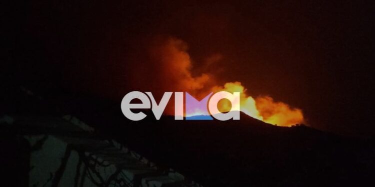 Μεγάλη φωτιά στην Κάρυστο Ευβοίας