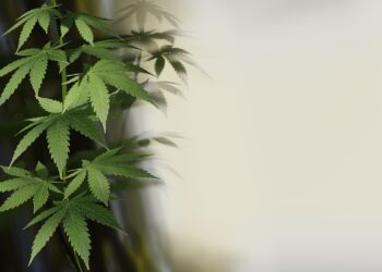 «Ζουμερά» ναρκωτικά από γόνους εύπορων οικογενειών- 3 συλλήψεις