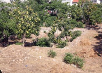 Καθαρισμός οικοπέδων ενόψει της αντιπυρικής περιόδου 2025
