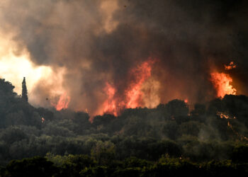 Πυρκαγιά στη Ζάκυνθο: Καίγονται αγροτοδασικές εκτάσεις