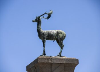 Επιχείρηση της ΕΛΑΣ στην Πολεοδομία – Τουλάχιστον 7 συλλήψεις