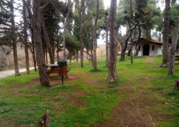 Υποβολή πρότασης στο Πράσινο Ταμείο για τη δημιουργία ενός νέου πράσινου πνεύμονα στην περιοχή της Πύρνας
