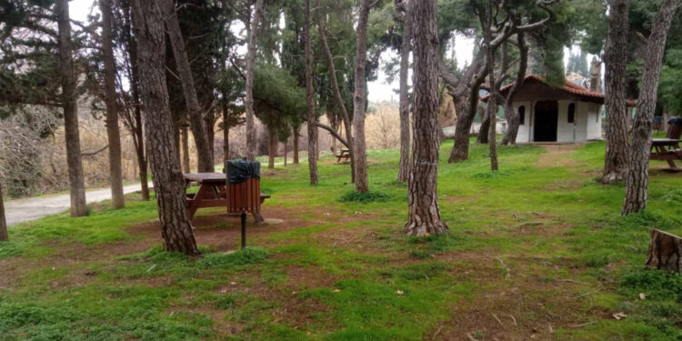 Υποβολή πρότασης στο Πράσινο Ταμείο για τη δημιουργία ενός νέου πράσινου πνεύμονα στην περιοχή της Πύρνας