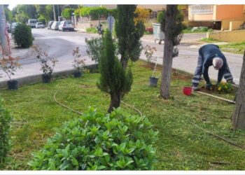 Νέες φυτεύσεις για την ενίσχυση του πρασίνου στο Δήμο Βριλησσίων