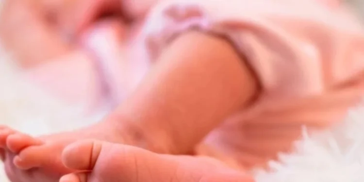 Ιατρικό σκάνδαλο στην Ολλανδία: 85 δότες σπέρματος απέκτησαν πάνω από… 25 παιδιά