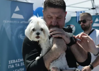 Ο Νίκος Χαρδαλιάς στη μεγάλη γιορτή για τα κατοικίδια, Woof Festival