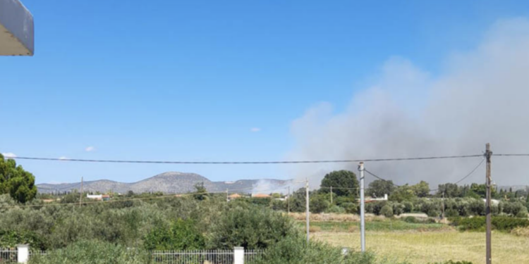 Ο Μαραθώνας καίγεται κι ο δήμαρχος… ψήνεται αλλού!