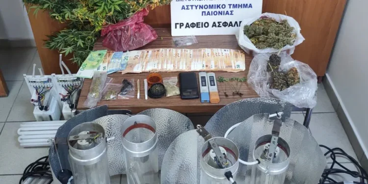 Σύλληψη για καλλιέργεια δενδρυλλίων κάνναβης
