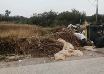 Καταγγελία για την εγκατάλειψη στον Μαραθώνα: Σκουπίδια παντού, κίνδυνος για την υγεία και τις ζωές των κατοίκων
