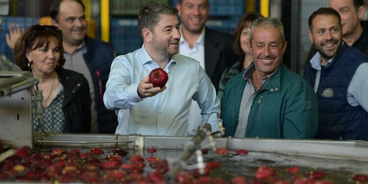 «Χιλιάδες μικροϊδιοκτήτες ενώ είχαν οικόπεδα, βρέθηκαν με αγροτεμάχια. Άλλος ένας ερασιτεχνισμός της κυβέρνησης»