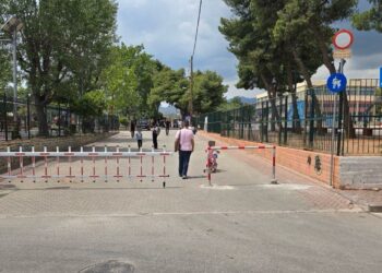 Α. Δρίκος: “Καθοριστική παρέμβαση για την ασφάλεια των μαθητών μας”