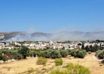 Φωτιά στην Ανάβυσσο: Στάλθηκε μήνυμα από το 112