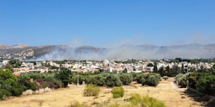 Φωτιά στην Ανάβυσσο: Στάλθηκε μήνυμα από το 112