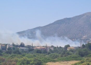 Έκτακτο: Πυρκαγιά τώρα στην Ανάβυσσο
