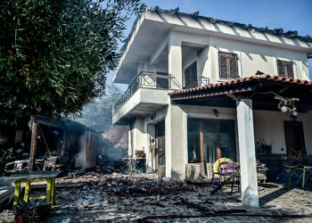 Παλαιά Φώκαια: Κόποι μιας ζωής έγιναν στάχτες- Ο εφιάλτης που άφησε πίσω της η φωτιά
