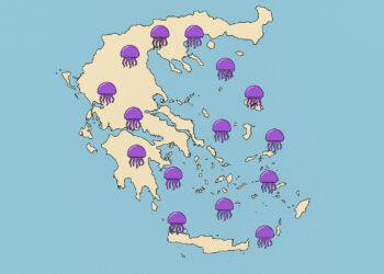 «Μωβ συναγερμός» στις ελληνικές παραλίες – Live χάρτης δείχνει πού κολυμπούν οι μέδουσες