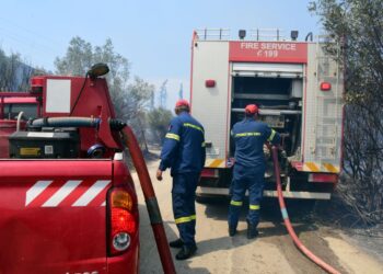 Φωτιά στη Σαλαμίνα – Επιχειρούν ισχυρές δυνάμεις της Πυροσβεστικής