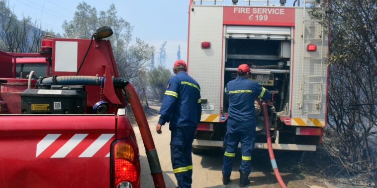 Φωτιά στη Σαλαμίνα – Επιχειρούν ισχυρές δυνάμεις της Πυροσβεστικής