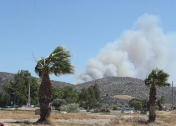 Μαίνεται η φωτιά στην Παλαιά Φώκια, καίγονται σπίτια – Τρίτο μήνυμα του 112