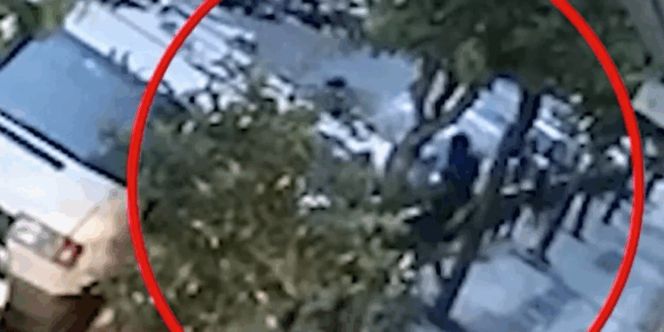 Τρόμος στον Άγιο Παντελεήμονα: Ληστές βασάνισαν οικιακή βοηθό – «Περίμενα να πεθάνω»