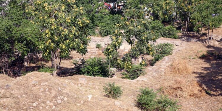 Λήγει η προθεσμία για τον καθαρισμό και τη δήλωση των οικοπέδων