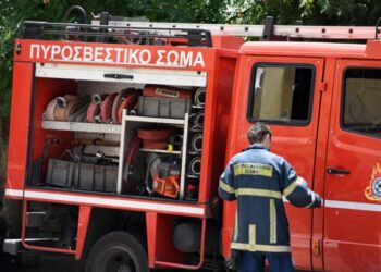 Φωτιά τώρα: Σε αγροτοδασική έκταση στη Χαλκιδική