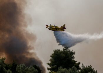 Συναγερμός στην Εύβοια: Φωτιά στο Μηλάκι κοντά σε εργοστάσια – Μεγάλη κινητοποίηση της Πυροσβεστικής