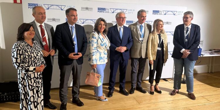 Θανάσης Παπαθανάσης από την Κοινοβουλευτική Συνέλευση του ΟΑΣΕ: «Η Ελλάδα πυλώνας σταθερότητας και υπερασπιστής του Διεθνούς Δικαίου»