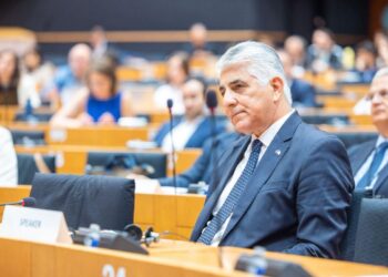 Η ΚΕΔΕ στο Ευρωπαϊκό Κοινοβούλιο: Παρέμβαση για τη Νησιωτικότητα