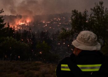 Ολονύχτιο LIVE από τη μεγάλη πυρκαγιά στον Ωρωπό – Δύσκολες ώρες
