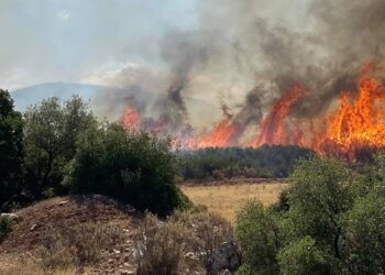 Φωτιά στην Κύπρο: Ενισχύσεις από Ελλάδα – ΕΕ- Αίγυπτο