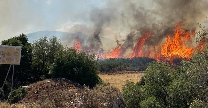 Φωτιά στην Κύπρο: Ενισχύσεις από Ελλάδα – ΕΕ- Αίγυπτο