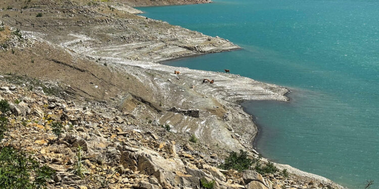 Λειψυδρία και δασικές πυρκαγιές – Ο συνδυασμός που σκοτώνει