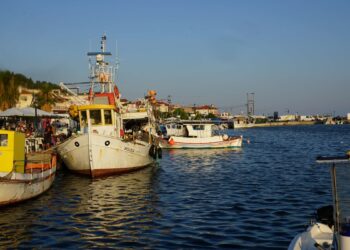Γιορτή Γαύρου στη Νέα Σκιώνη: Τριήμερο γεύσεων, μουσικής και τοπικής φιλοξενίας