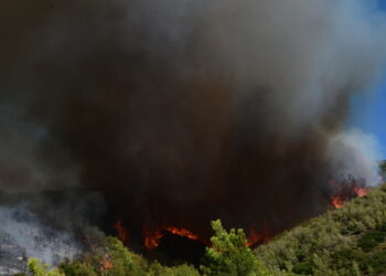 Ηγουμενίτσα: Φωτιά τώρα σε δασική σε έκταση κοντά στα χωριά Σκάνδαλο και Μανδρότοπο Σουλίου