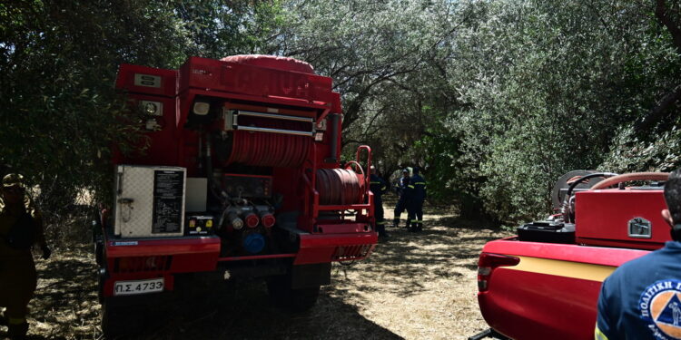 Θεσσαλονίκη: Φωτιά τώρα σε χαμηλή βλάστηση ανάμεσα σε Μεσαίο και Νέα Φιλαδέλφεια Ωραιοκάστρου