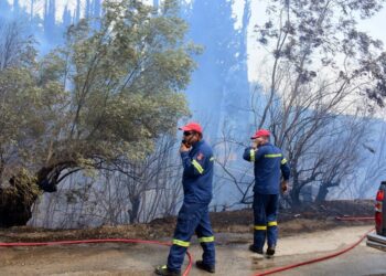 Θεσσαλονίκη: Υπό έλεγχο η φωτιά στους Ταγαράδες