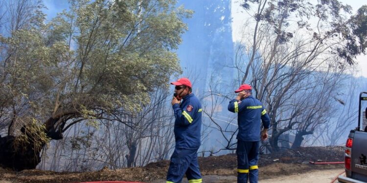 Θεσσαλονίκη: Υπό έλεγχο η φωτιά στους Ταγαράδες