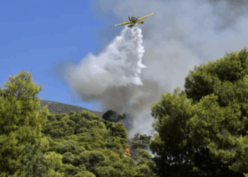 Φωτιά τώρα στο Λασίθι: Μεγάλη επιχείρηση από αέρος – Μήνυμα 112 για εκκένωση 4 οικισμών