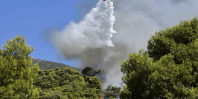 Φωτιά τώρα στο Λασίθι: Μεγάλη επιχείρηση από αέρος – Μήνυμα 112 για εκκένωση 4 οικισμών