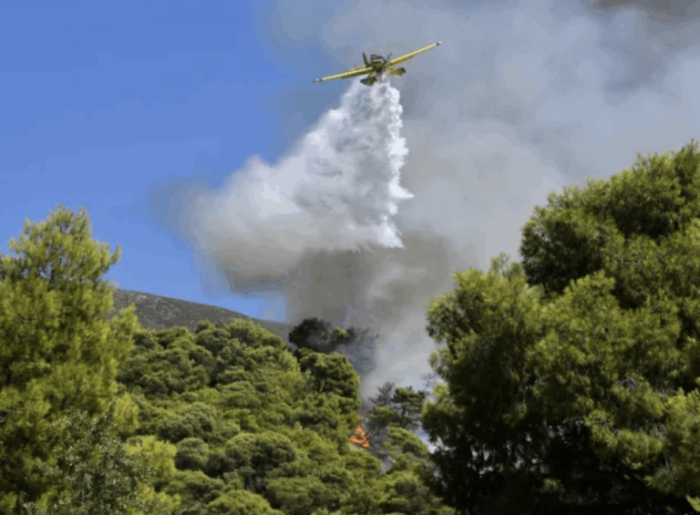 Στιγμιότυπο-οθόνης-2025-07-02-7.42.38-μμ