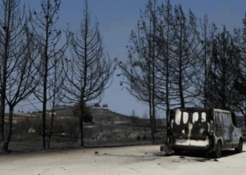 Κύπρος: Σε ύφεση η φωτιά στη Λεμεσό – Καίει για τρίτη μέρα, σε επιφυλακή για αναζωπυρώσεις