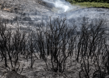 Υπό έλεγχο η πυρκαγιά στη Δεσκάτη Γρεβενών – Χωρίς ενεργό μέτωπο και η φωτιά στο Βαθύρεμα Αγιάς (φωτογραφίες)
