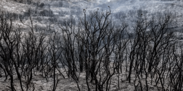 Υπό έλεγχο η πυρκαγιά στη Δεσκάτη Γρεβενών – Χωρίς ενεργό μέτωπο και η φωτιά στο Βαθύρεμα Αγιάς (φωτογραφίες)
